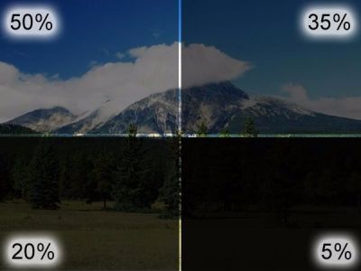 POLARIZADOS AMERICAN FILMS 20%