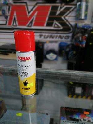 protector de motor