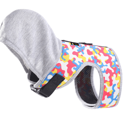 Arnes Perro Wonder Dog con gorro1