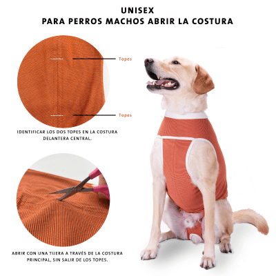 Body Cobre Kimba Ropa Post-Quirúrgica Perro/Gato1