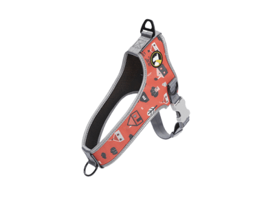 Arnes Perro Wonder Dog Kyra1