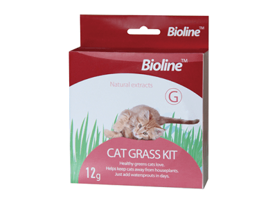 Hierba gatera Bioline semillas para plantar