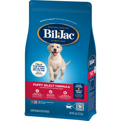 BIL JAC PUPPY (cachorro ) todas las razas