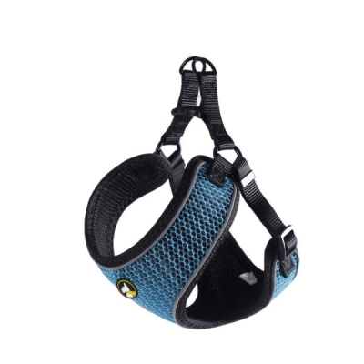 Arnes Perro Wonder Dog Max1