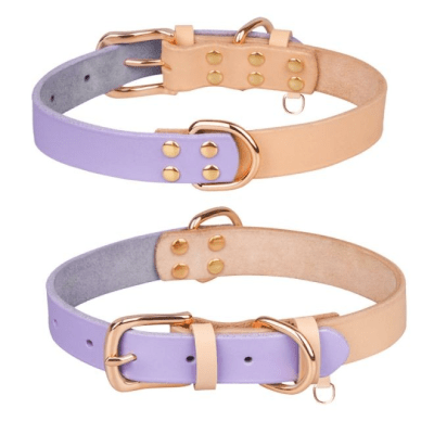 Collar Wonder Dog cuero bicolor2