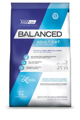 BALANCED Gato Adulto1