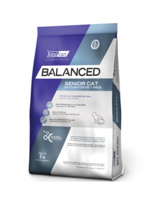 BALANCED Gato senior