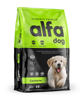 ALFA DOG PREMIUM cachorro