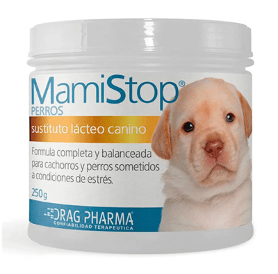 MAMISTOP Perro cachorro