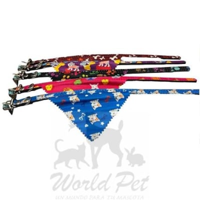 Collar Wonder Dog Con bandana2
