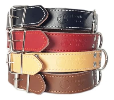 Collar para perro