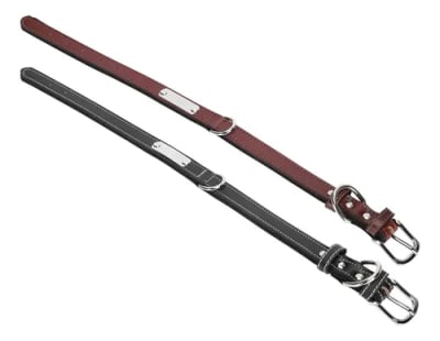 COLLAR WONDER DOG simple