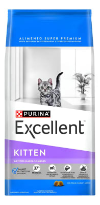 EXCELLENT gato cachorro