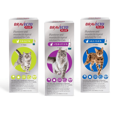 BRAVECTO Gato Plus