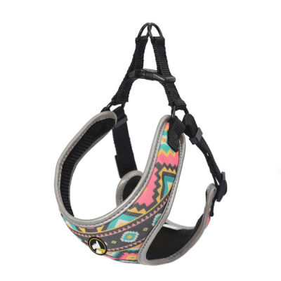 Arnes Perro Wonder Dog Amy