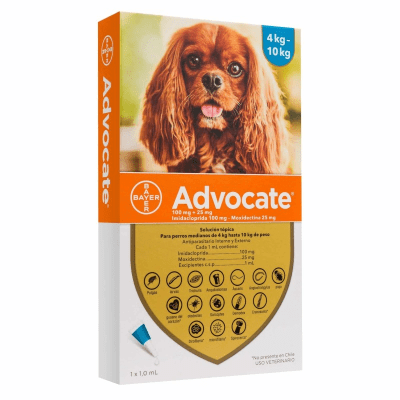ADVOCATE Pipeta Perro