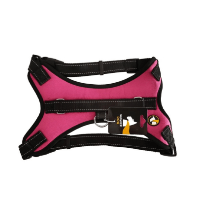 Arnes Perro Wonder Dog Con mango1