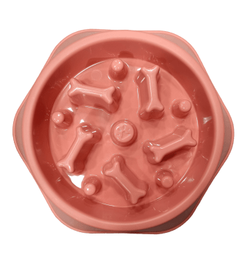 PLATO ALIMENTACION LENTA diseño huesos