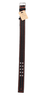 Collar Grueso Fibra Doble Hebilla