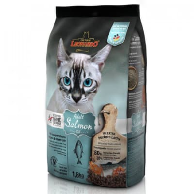 LEONARDO GATO ADULTO (Salmon)1