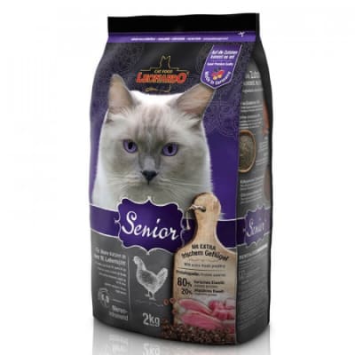 LEONARDO GATO SENIOR