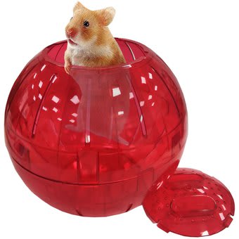 BOLA HAMSTER PET IN CARE mediana 18 cm