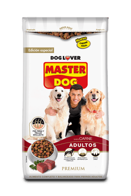 MASTER DOG ADULTO 18 KG