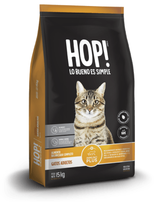 HOP! gato adulto