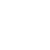 Google+