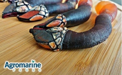 agromarine