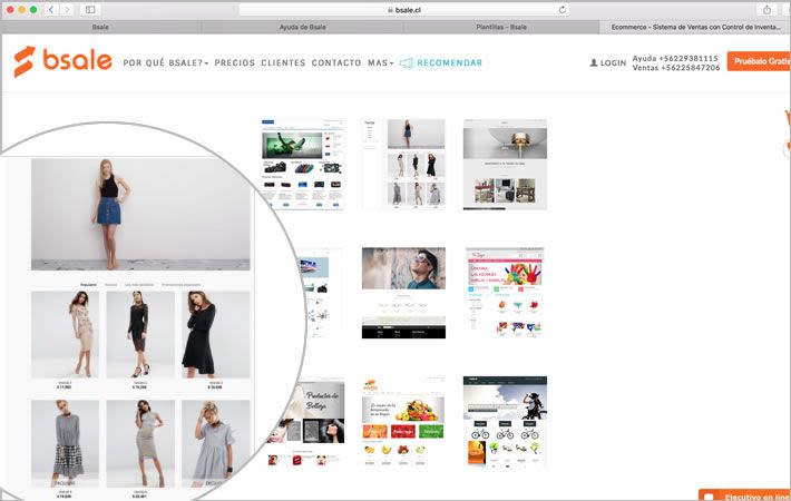 plantillas Bsale