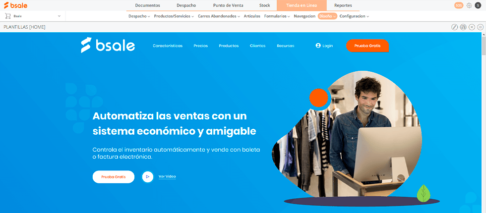 Web de Bsale con Ecommerce