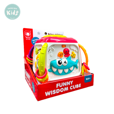 CUBO DIDACTICO MUSICAL 822