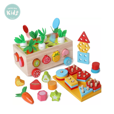 DIDACTICO CUBO MADERA PARA ENCAJAR 0091