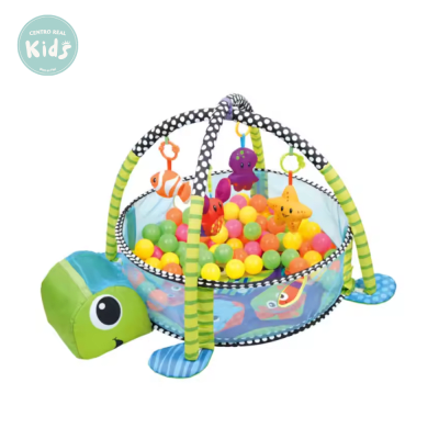 GIMNASIO DE ACTIVIDADES CON PELOTITAS 889671