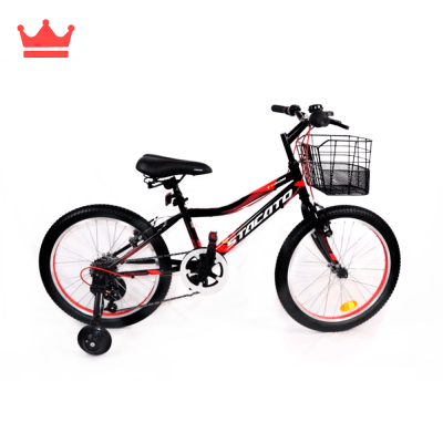 BICICLETA MONTAÑERA ARO 20 MTB TYRON1