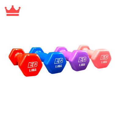 PESAS PLASTIFICADAS 1KG EVERBEST MG-1KG X21