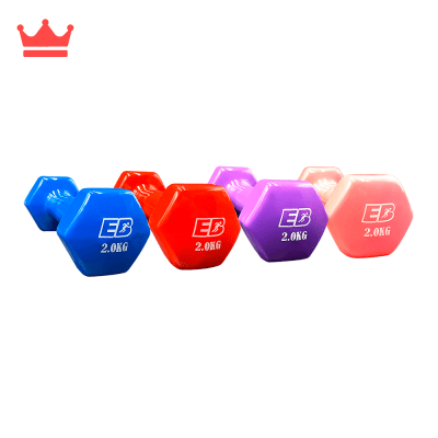 PESAS PLASTIFICADAS 2KG EVERBEST MG-2KG X21