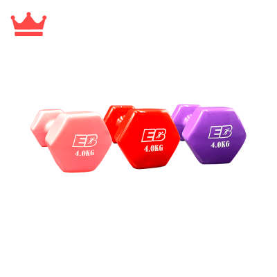 PESAS PLASTIFICADAS 4KG EVERBEST MG-4KG X21