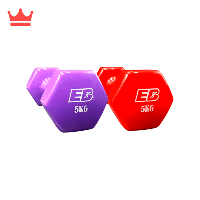 PESAS PLASTIFICADAS 5 KG EVERBEST MG-5KG X21