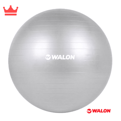 PELOTA DE GIMNASIA WALON PGYM 65CM1