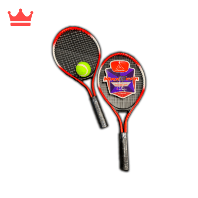SET DE TENIS NIÑOS X2 RAQUETAS1