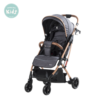 COCHE MALETA SUNNY EBABY 1241