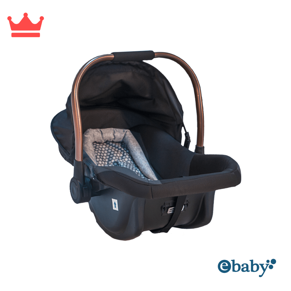 SILLA DE AUTO PORTA BEBÉ TERRY EBABY 512-1 Centro Real KIDS Tu