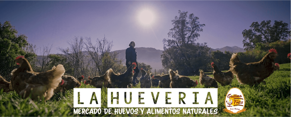 bannerlahhueversdaia 300x66718913 bannerlahhueversdaia 300x66718913