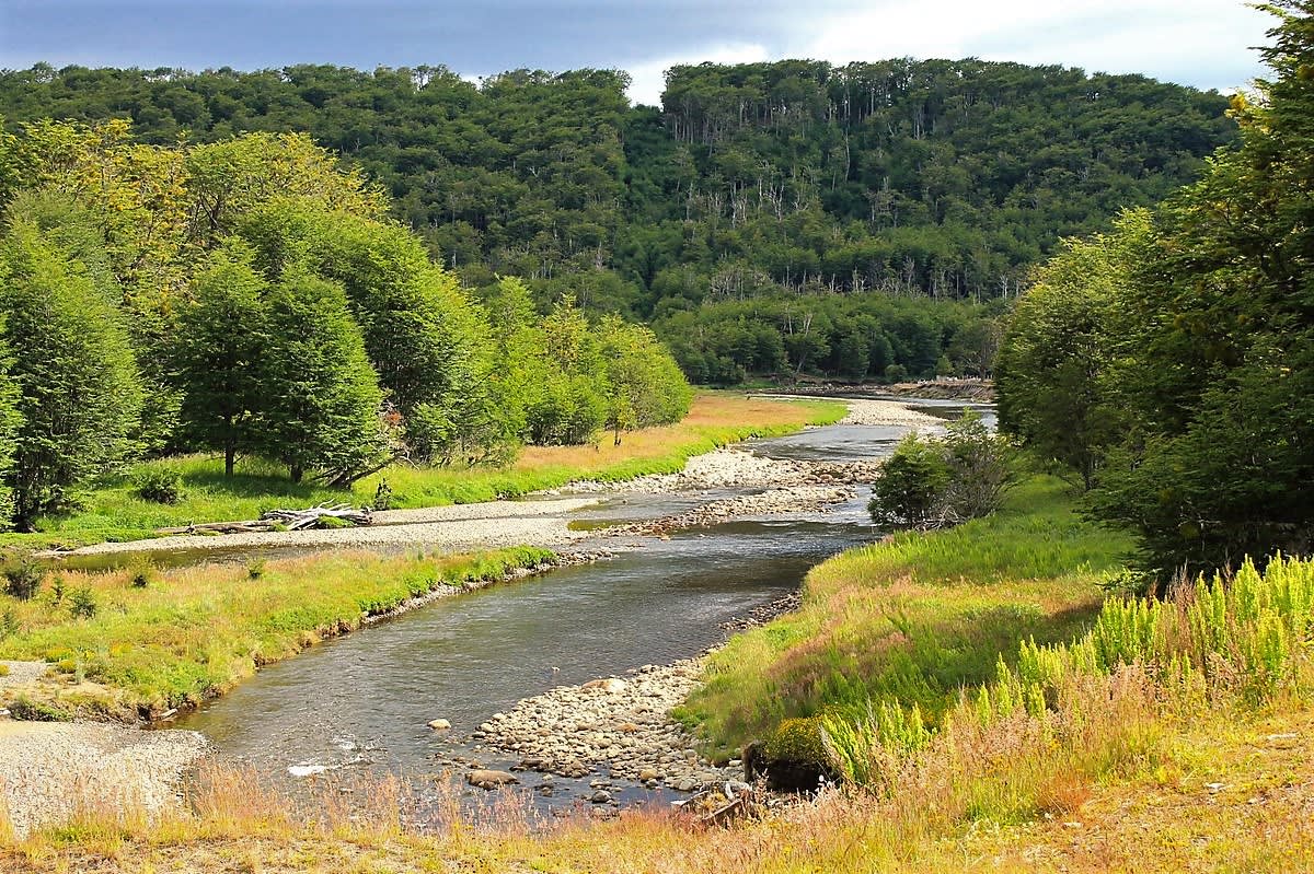 Río Rubens, camino a Pto. Natales