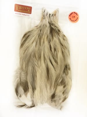 4 B´s Rooster Cape Variant1