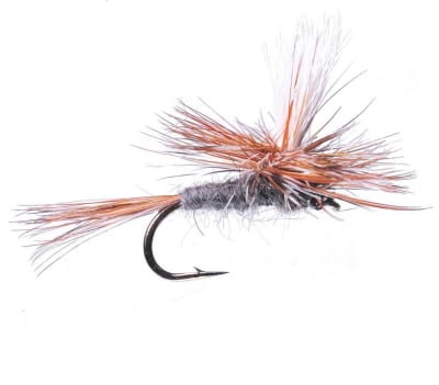 Parachute Adams1
