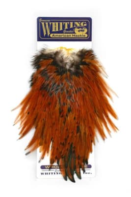 American Rooster Saddle Brown2