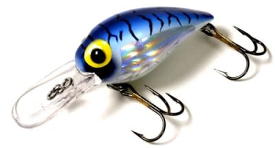 Potxa Brad´s Wiggler 0311